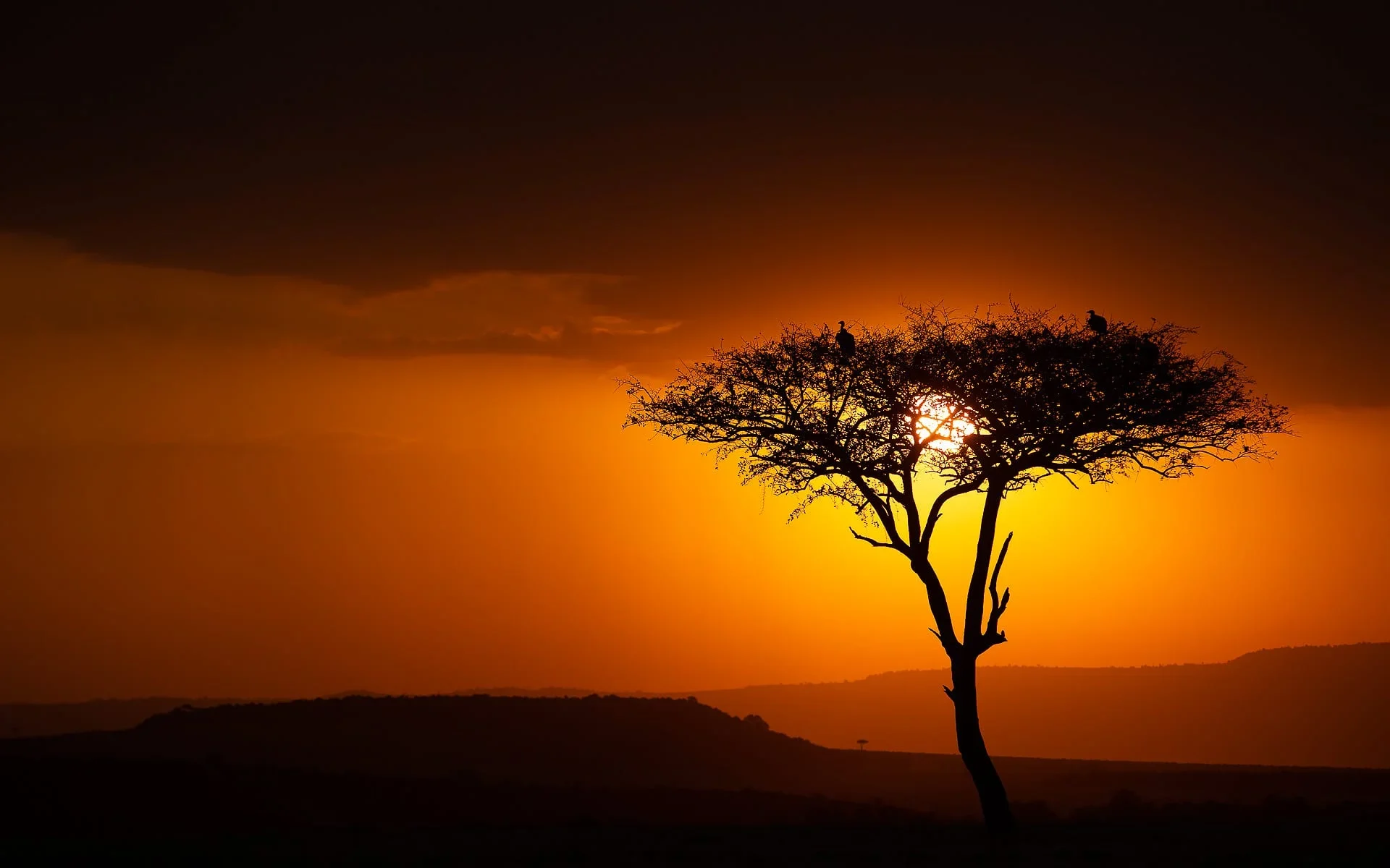 tsavorites-paysage-kenya-politains-paris-zurich